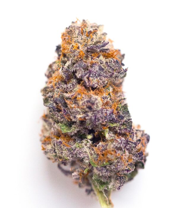 Candyland Strain