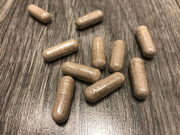 Microdosing Mushroon: Neuro (Lions Mane and Niacin)