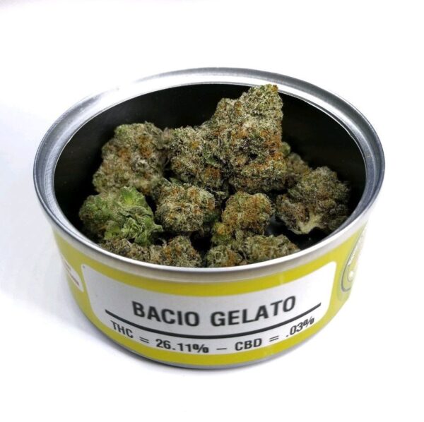 Bacio Gelato Strain