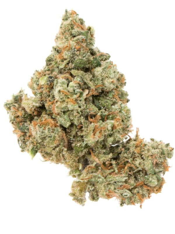 Jack Herer Strain